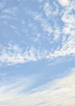 男子校のOBは、チビでモテモテな男(女)でした。