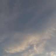 東雲 紫苑さんのアイコン画像