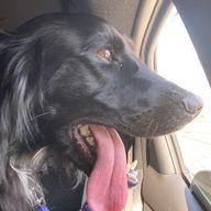 ひまじんさんのアイコン画像