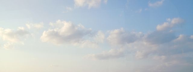 和田ひなさんの壁紙画像