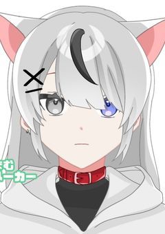 ドクターストップ(物理)派です