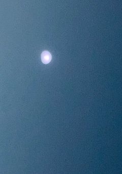 歌詞を実現できる男の子が居るらしい