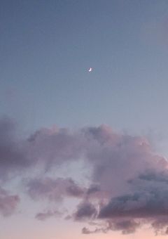 言葉じゃ伝えられなくても