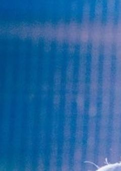 過去に侵された俺に居場所を、、【てるとくんver.】