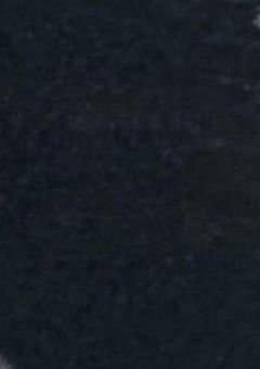 精神病の君と。