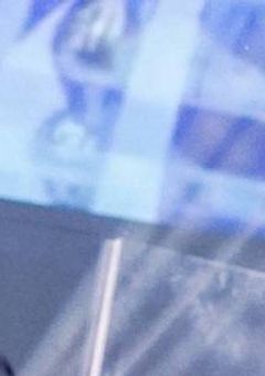 頑張ればなんだって__