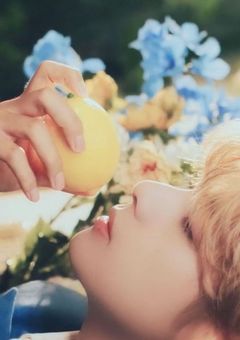 あなたが生きているうちに