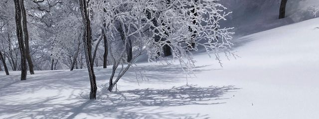 平凡な雪❄さんの壁紙画像
