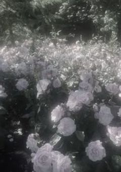 ねぇ 消えないで 。