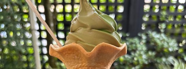 ネイチャー@スランプさんの壁紙画像