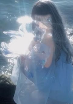 Gypsophila ENTARTIMENT