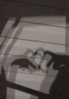 #　Illust  ᝰ✍🏻