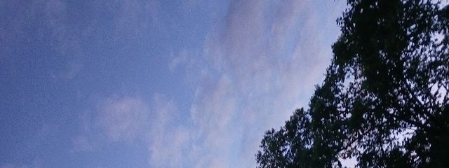 シニファさんの壁紙画像