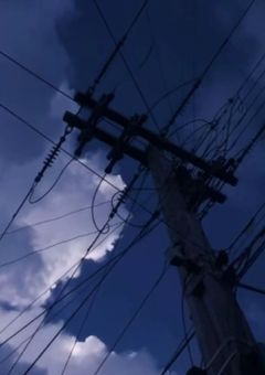 一 緒 に 生 き よ ✁