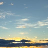 はるまきさんのアイコン画像