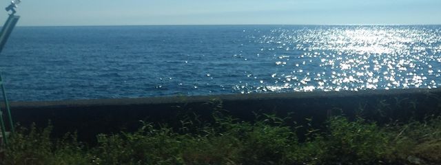 Mema 🥀🍽さんの壁紙画像