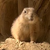 カメキチ☻さんのアイコン画像