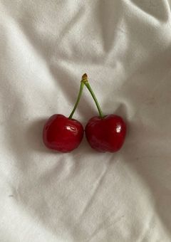 豆腐製造所꒷꒦