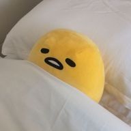 コリドラさんのアイコン画像