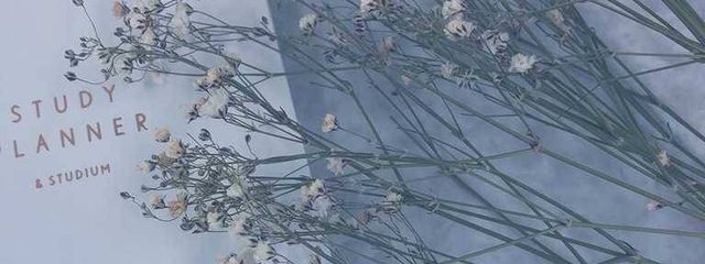 yukidarumaさんの壁紙画像
