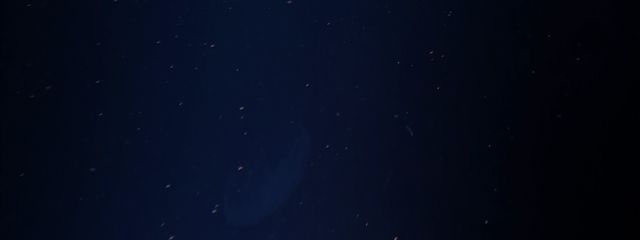 パン粉さんの壁紙画像
