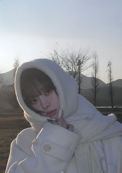 桜の花が散り