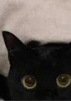 ❤︎ ... 何回も繋がれる様に