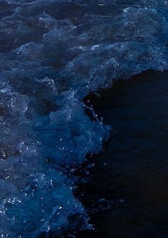 代償は僕の恋心