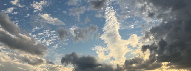 ももかんさんの壁紙画像