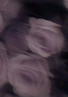 捻れた世界に飛ばされましたがなんかチート(?)