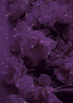 転生したらサルディス家の人間って何事?【参加型】