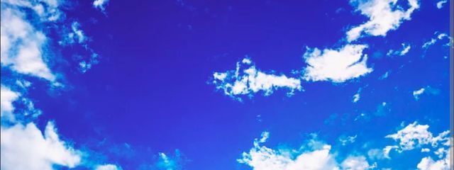 テポさんの壁紙画像