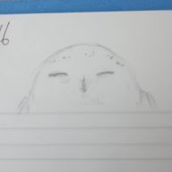 サングラスさんのアイコン画像