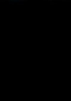 報告