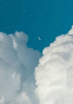 　✦￤お月さま一緒に見ませんか　