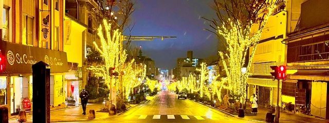ヒナさんの壁紙画像
