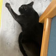 ヒナさんのアイコン画像
