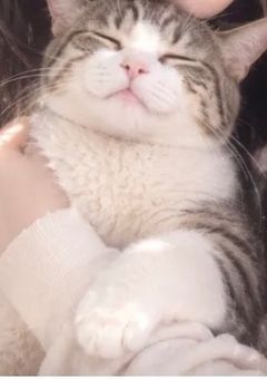 黄昏の幻の家