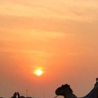 るみさんのアイコン画像