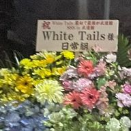 どかちゃん（みみずく。さんのアイコン画像