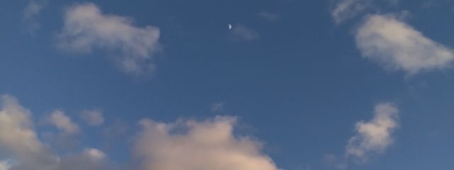レイさんの壁紙画像