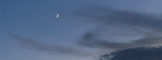 すィ ‼️さんの壁紙画像