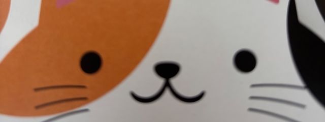 RIRIMIさんの壁紙画像