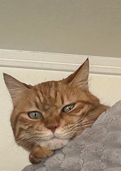 とーーーーーーーーくん