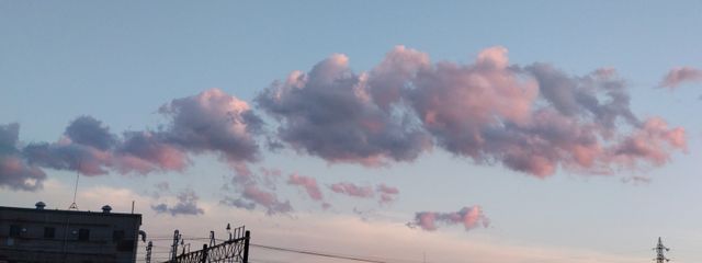 벚꽃(*´ ˘ `*)さんの壁紙画像