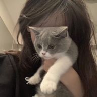 루나🌙* :ﾟさんのアイコン画像