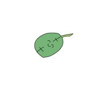 葉っぱの茶葉さんのアイコン画像