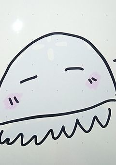 ソンライ所属0期生（1期生）募集