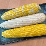 shizukuさんのアイコン画像