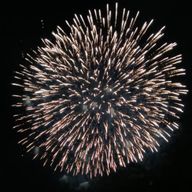 塩花 ねおさんのアイコン画像